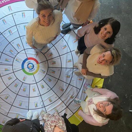 Natuurlijk hebben wij ook de DISC-profielen van Team ROMYN opgesteld.