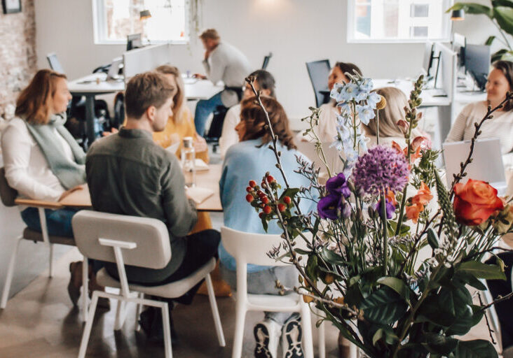 Stockfoto apr 2025 (19)